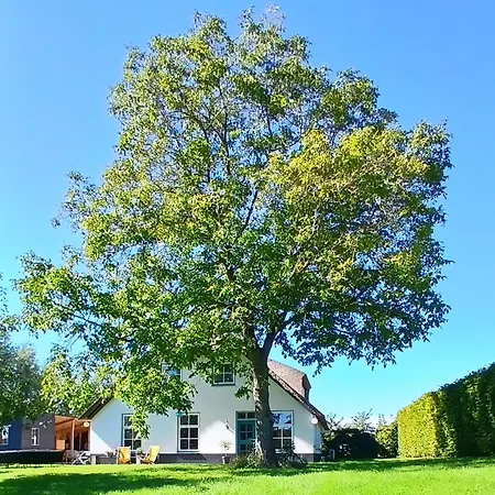 De Leeuwenbergh Alojamento de Acomodação e Pequeno-almoço Boven-Leeuwen