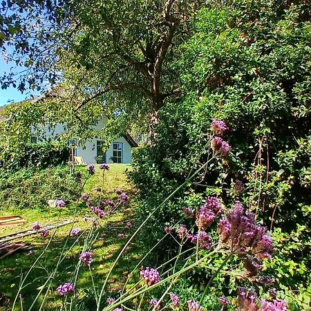 Alojamento de Acomodação e Pequeno-almoço De Leeuwenbergh Boven-Leeuwen
