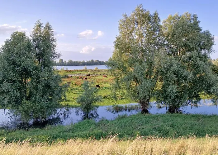 Bed and breakfast De Leeuwenbergh *