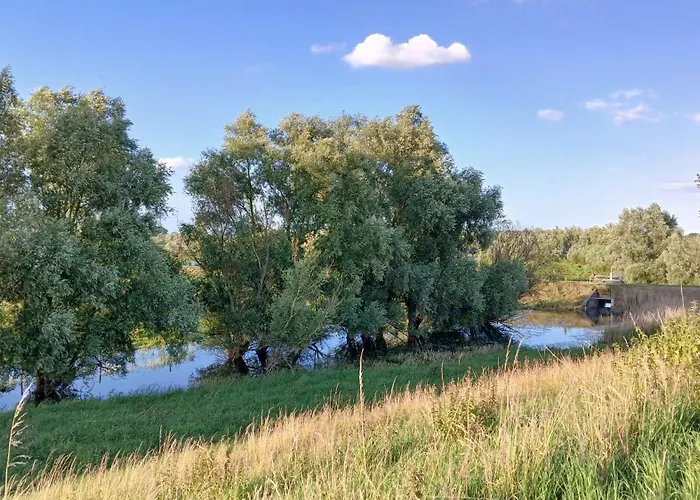 De Leeuwenbergh Bed and breakfast Boven-Leeuwen