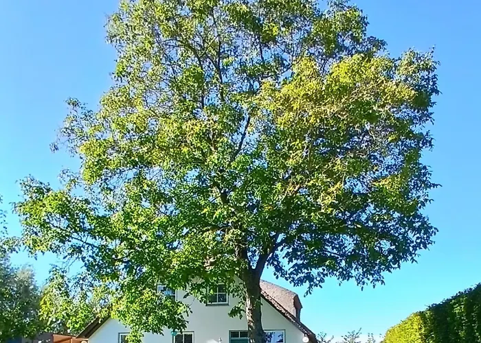 De Leeuwenbergh Bed and breakfast Boven-Leeuwen