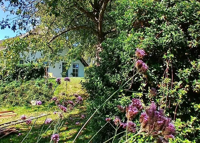 Bed and breakfast De Leeuwenbergh Boven-Leeuwen