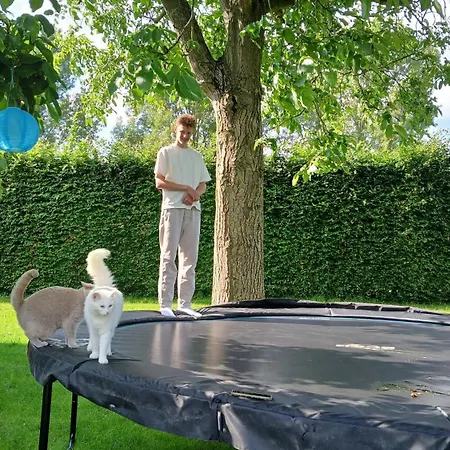 ベッド・アンド・ブレックファスト De Leeuwenbergh Boven-Leeuwen