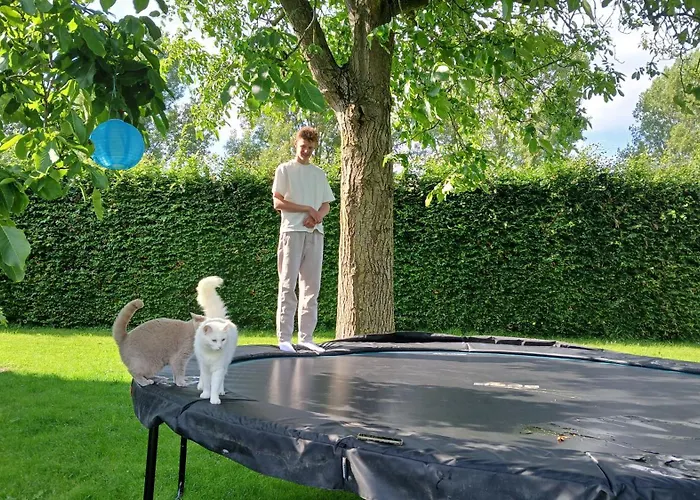 Alojamento de Acomodação e Pequeno-almoço De Leeuwenbergh Boven-Leeuwen